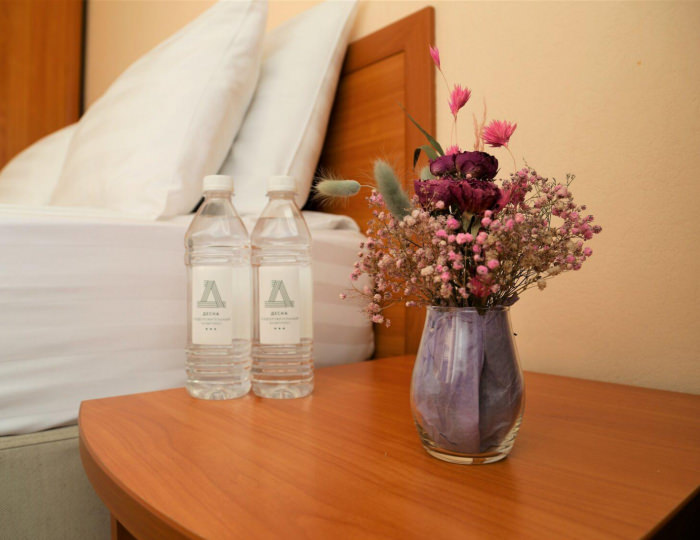 Комфорт с 1 двуспальной кроватью (главный корпус) - Оздоровительный комплекс «Десна»