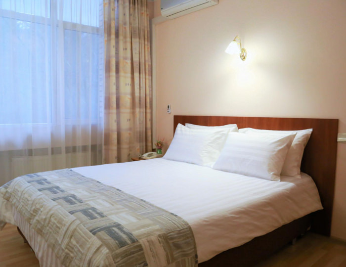 2-местный номер стандарт Урал - Оздоровительный комплекс «Десна»