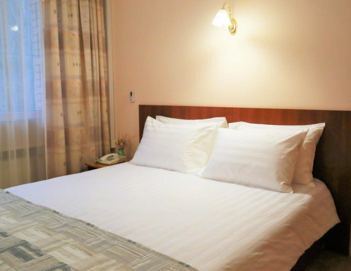 2-местный номер стандарт Урал - Оздоровительный комплекс «Десна»