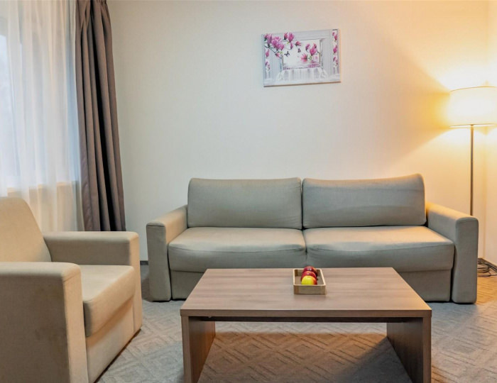 2-местный 2-комнатный номер полулюкс улучшенный (главный корпус) - Оздоровительный комплекс «Десна»