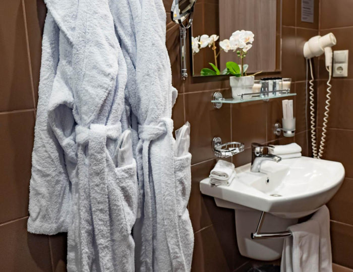 2-местный 2-комнатный номер полулюкс улучшенный (главный корпус) - Оздоровительный комплекс «Десна»