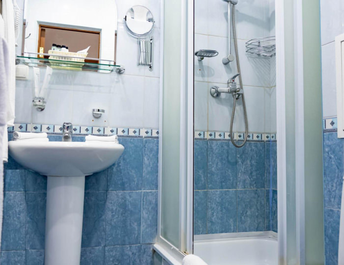 2-местный 2-комнатный номер полулюкс (главный корпус) - Оздоровительный комплекс «Десна»