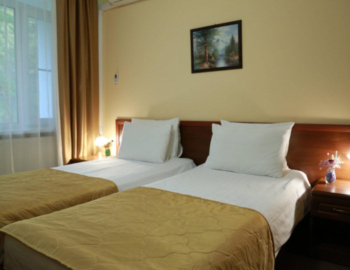 Стандарт с 1 односпальной кроватью Сибирь - Оздоровительный комплекс «Десна»