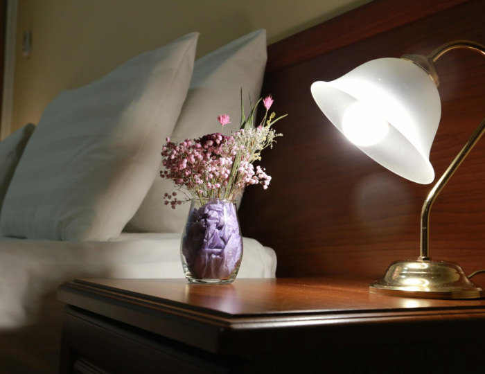 Стандарт с 1 односпальной кроватью Сибирь - Оздоровительный комплекс «Десна»