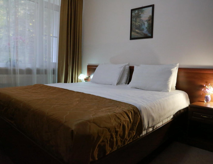 Стандарт с 1 односпальной кроватью Сибирь - Оздоровительный комплекс «Десна»