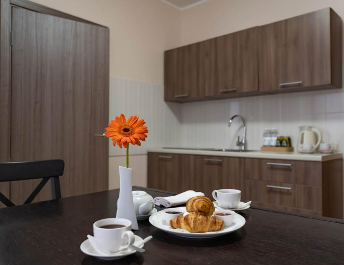 2-комнатные апартаменты люкс с 1 двуспальной кроватью (главный корпус) - Оздоровительный комплекс «Десна»