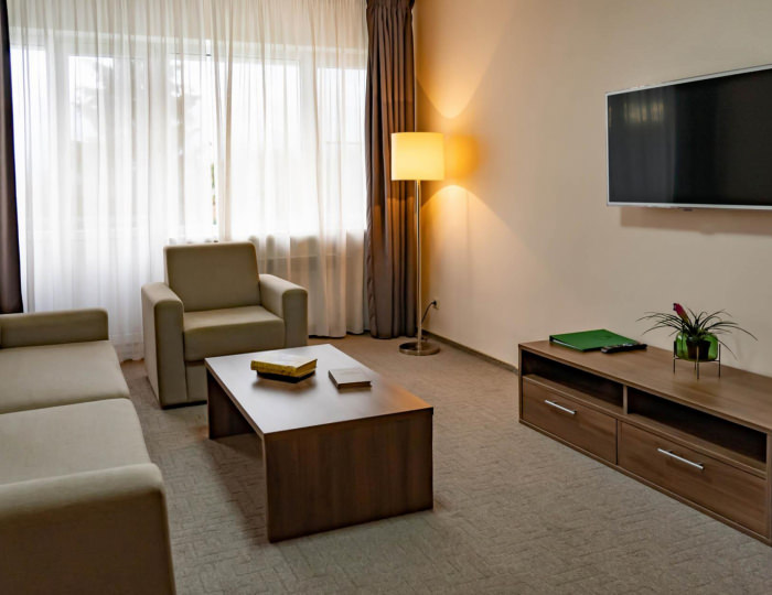 2-комнатные апартаменты люкс с 1 двуспальной кроватью (главный корпус) - Оздоровительный комплекс «Десна»