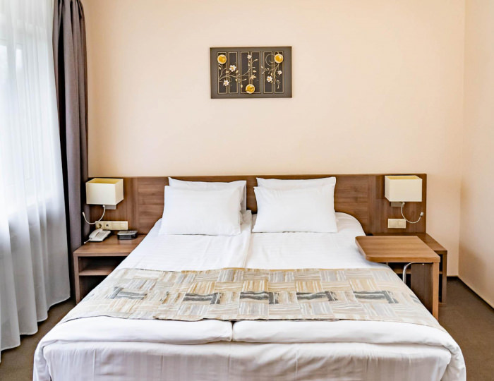 2-комнатные апартаменты люкс с 1 двуспальной кроватью (главный корпус) - Оздоровительный комплекс «Десна»