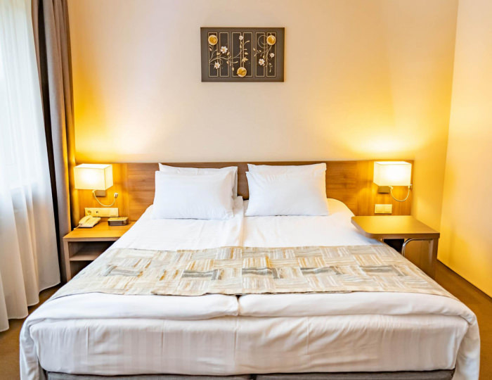 2-комнатные апартаменты люкс с 1 двуспальной кроватью (главный корпус) - Оздоровительный комплекс «Десна»