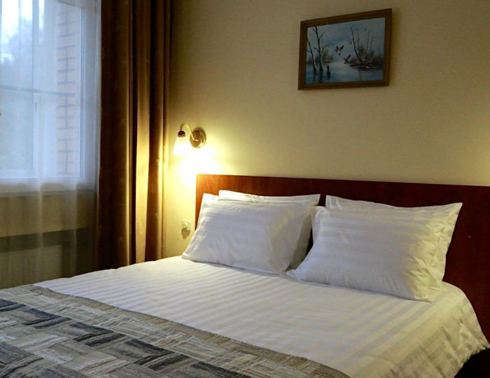 Полулюкс с 1 двуспальной кроватью Урал - Оздоровительный комплекс «Десна»